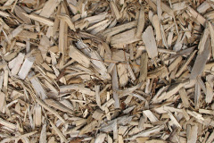 biomass boilers Closeburn